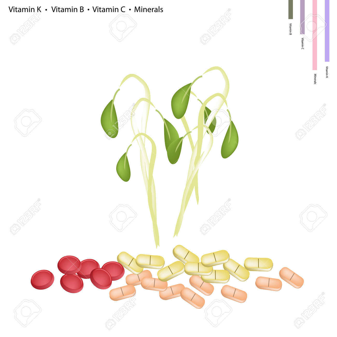 ヘルスケアの概念 豆のイラストは 生活のビタミン K ビタミン B ビタミン C とミネラルのタブレット 必須栄養素ともやし のイラスト素材 ベクタ Image