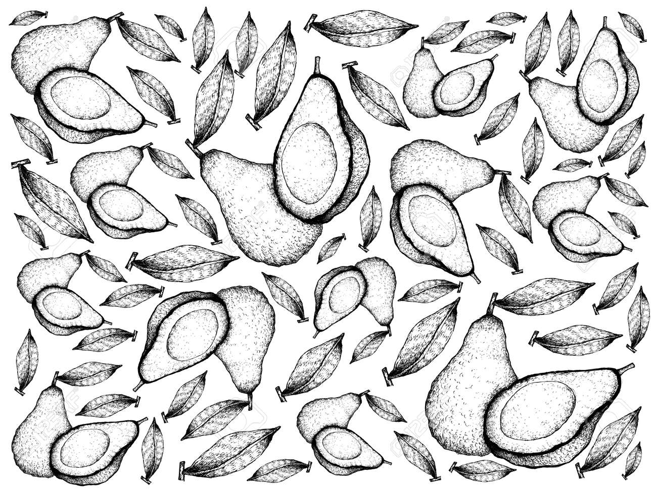 野菜サラダ 手描きスケッチおいしい新鮮な緑アボカドのイラスト背景パターン 白い背景に分離された半分のアボカドの葉 の写真素材 画像素材 Image