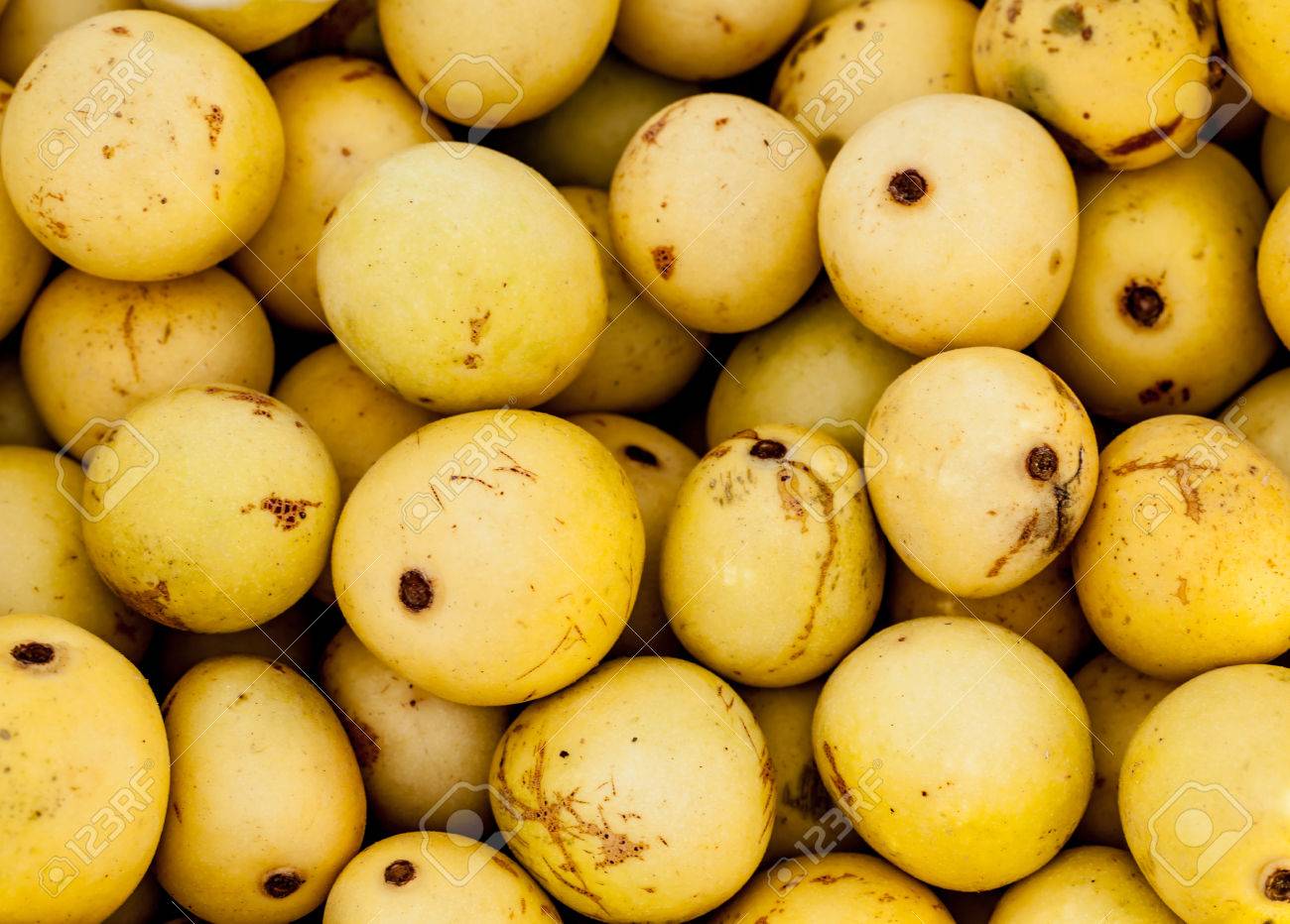 マルーラ の写真素材 画像素材 Image