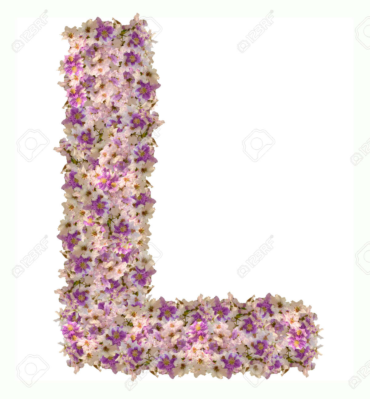 Letter L Alphabet With Zinnia Flower ABC Concept Type Typography Letter L Alphabet With Zinnia Flower ABC Concept Type Typography
