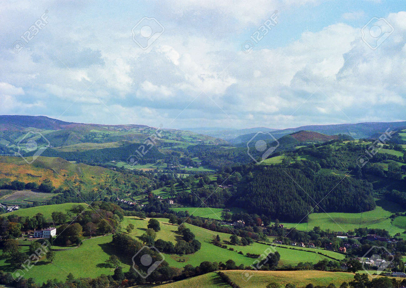 etiam-dictum-ipsum-a-felis