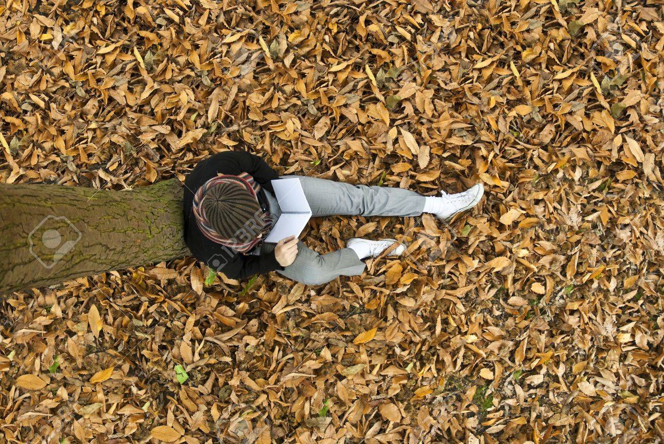 High Angle Shot Of Young Man Reading Under A Tree On The Yellow