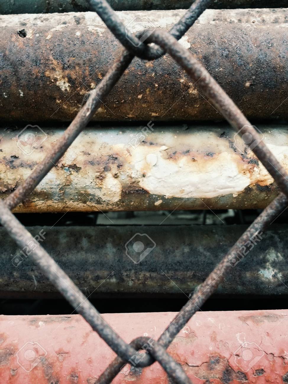 etiam-dictum-ipsum-a-felis