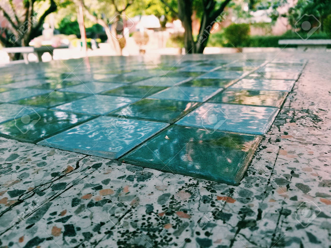 etiam-dictum-ipsum-a-felis