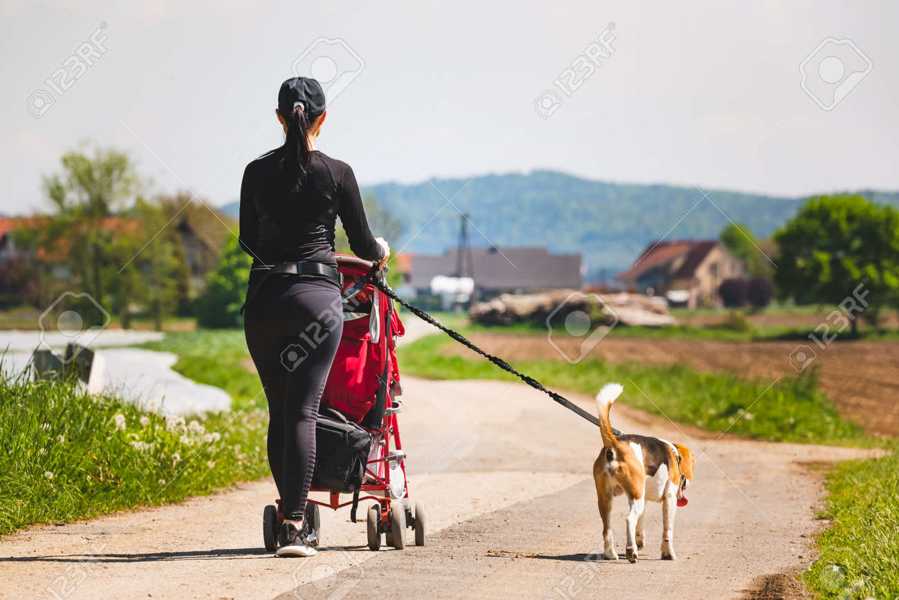walking dog with baby stroller