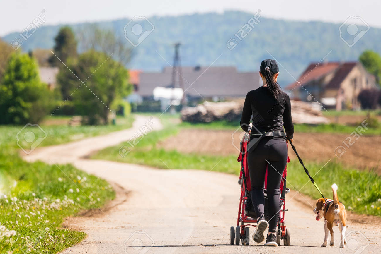 dog walking stroller