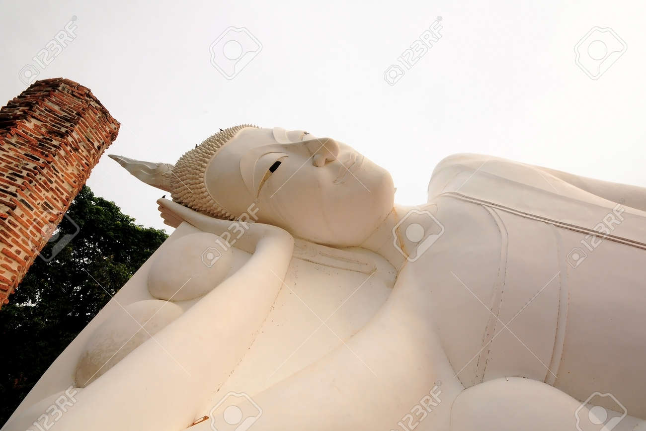 etiam-dictum-ipsum-a-felis