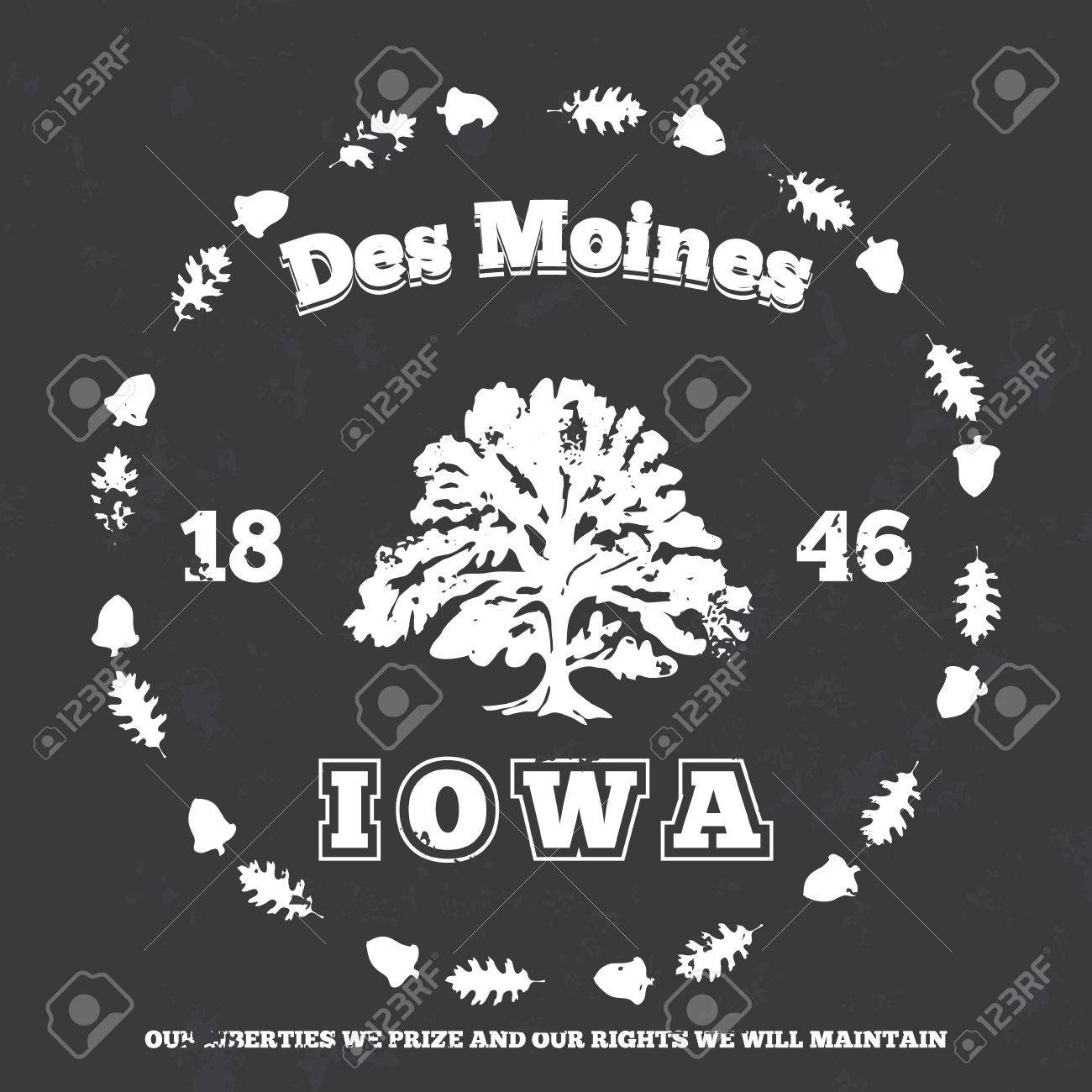des moines iowa t shirt graphic vector illustration graphic design des moines iowa