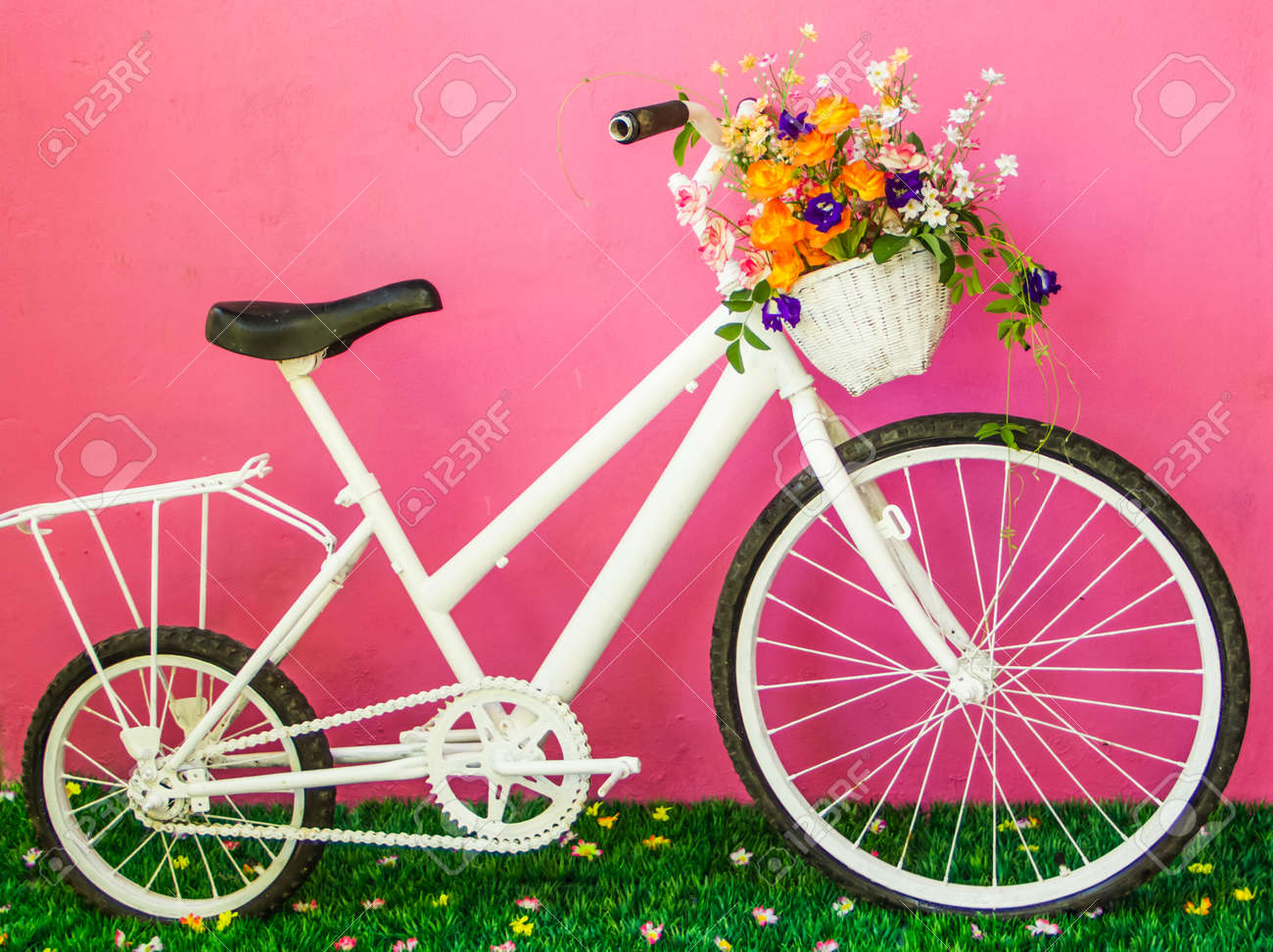 White vintage bicycle with flowers on the pink wall. - 23909693 White vintage bicycle with flowers on the pink wall. - 23909693