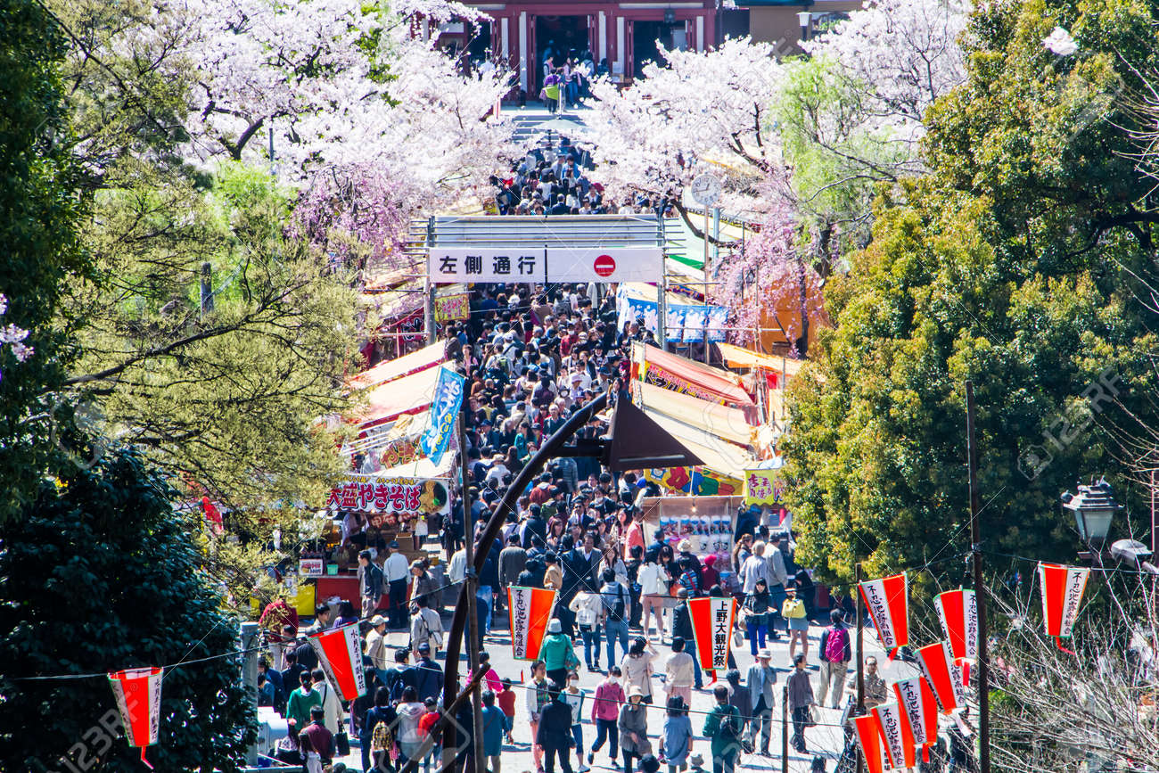 東京 日本 4 月 2 人に来てお花見 4 月 2 15 Hanami 祭の東京上野公園で祭りが開始されますに参加するとき桜の花満開 の写真素材 画像素材 Image