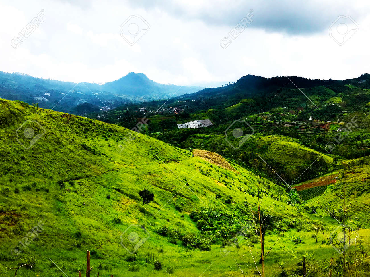 etiam-dictum-ipsum-a-felis