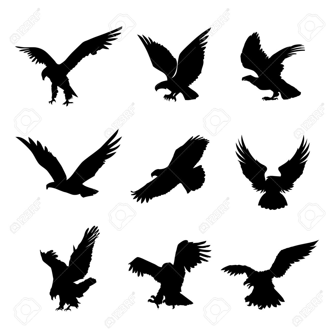 Eagle Falcon Bird Hawk Animal Silhouette Black Icon Flat Design