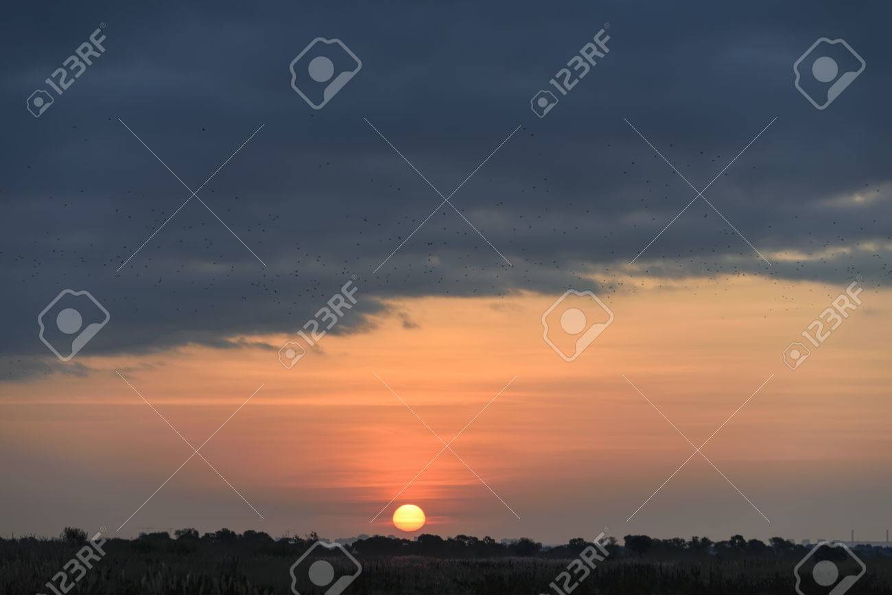 9 月の夜明け 9 月 日の出の空がピンクに塗られました の写真素材 画像素材 Image