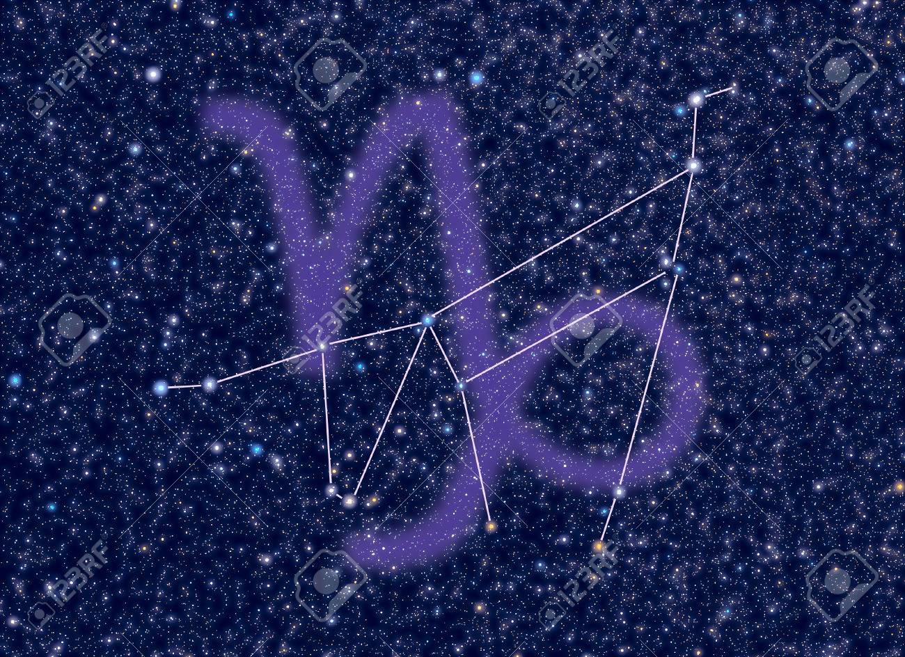アニヤ★(セールで可愛い)探してた山羊座Capricorn 3D2A4168_1200x1200.jpg?v=