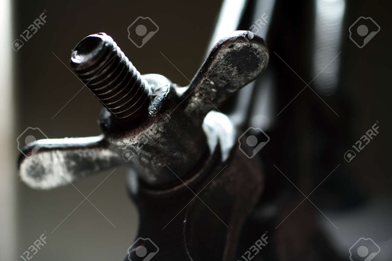 etiam-dictum-ipsum-a-felis