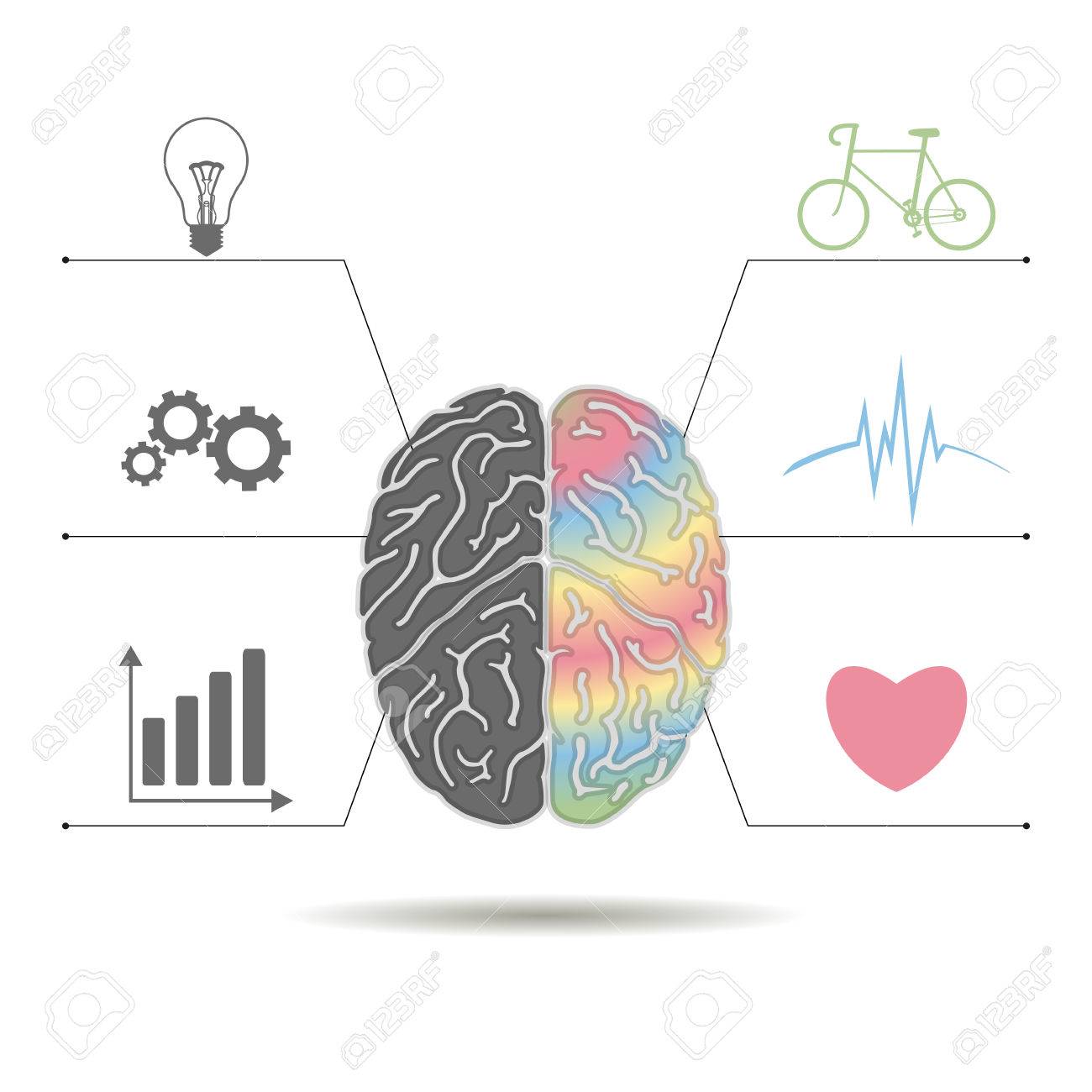 Linke Und Rechte Gehirnhalfte Functionsstructure Idee Und Genauigkeit Erholung Kreativitat Kunst Lizenzfrei Nutzbare Vektorgrafiken Clip Arts Illustrationen Image 47833099
