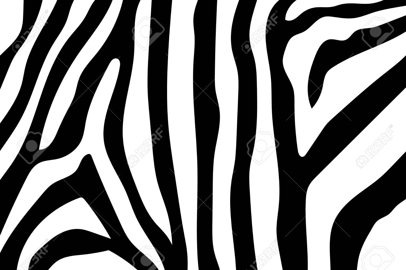 Zebra Stripes Pattern. Zebra Print, Animal Skin, Tiger Stripes, Abstract  Pattern, Line Background, Fabric. Amazing Hand Drawn Vector Illustration.  Poster, Banner. Black And White Artwork Monochrome Клипарты, SVG, векторы,  и Набор Иллюстраций