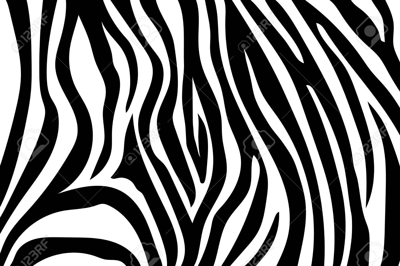 zebra stripes pattern zebra print animal skin tiger stripes zebra patterns