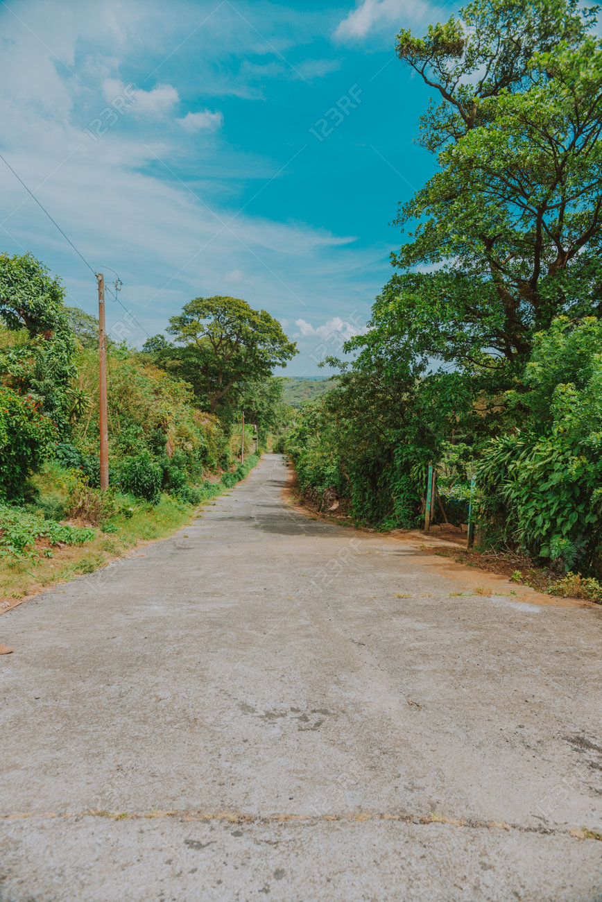 etiam-dictum-ipsum-a-felis