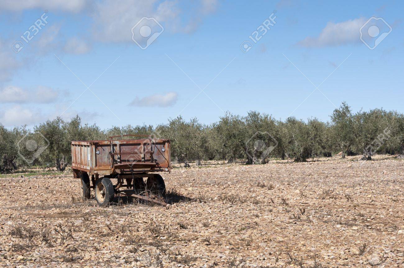 Old Farm Trailer On A Fallow Field At The Background An Olive Grove Photo Taken In Old Farm Trailer On A Fallow Field At The Background An Olive Grove Photo Taken In