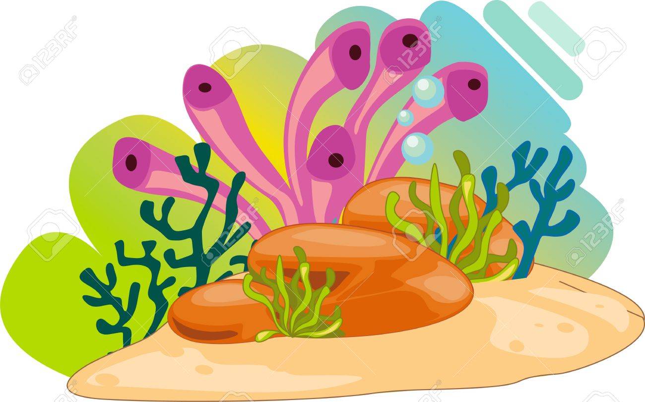 Illustration Of Sea Plant On White Royalty Free SVG, Cliparts, Vectors, and  Stock Illustration. Image 13190453.
