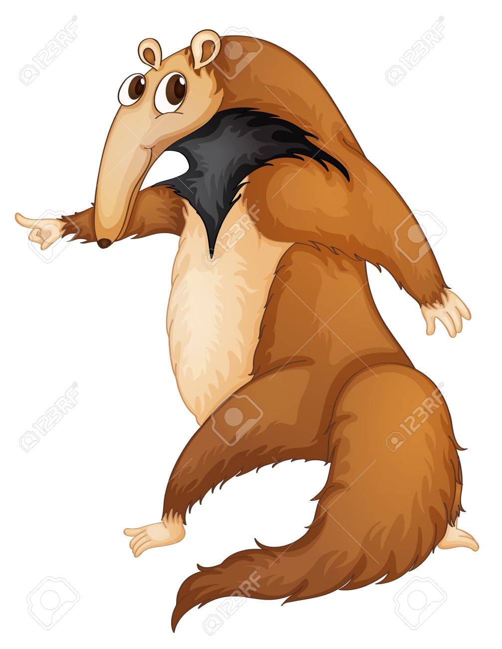 Ilustración De Un Oso Hormiguero Divertida Ilustraciones Vectoriales, Clip Art Vectorizado Libre De Derechos. Image 13516595.