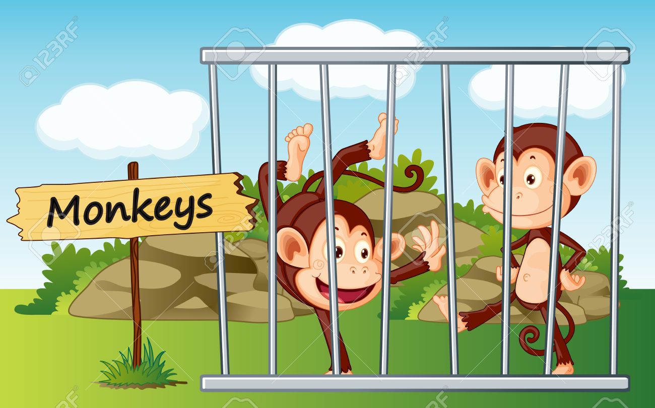 Illustration Of A Monkeys In Cage And Wooden Board Royalty Free ...