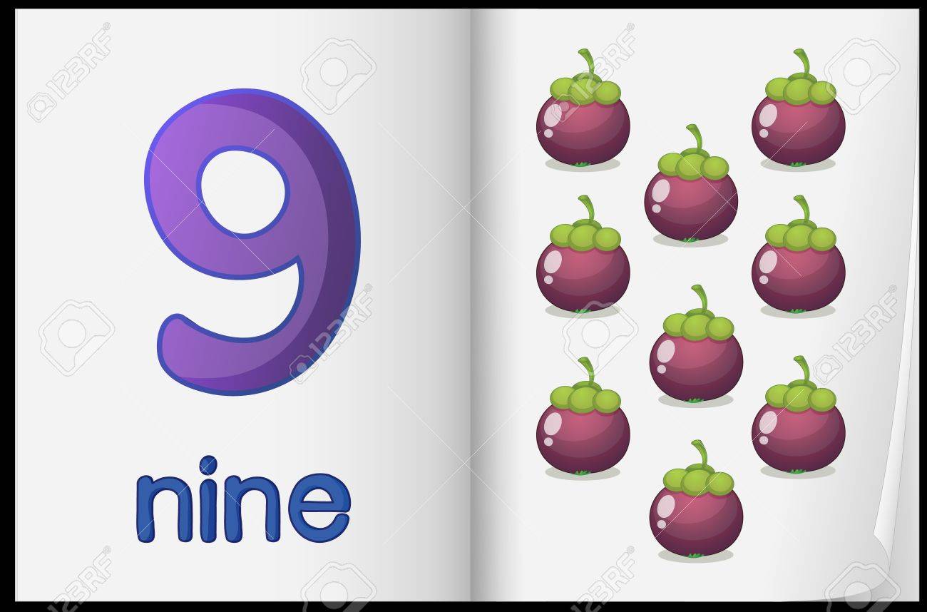 worksheet Counting Numbers counting number illustration sheet in book royalty free cliparts stock vector 16087608