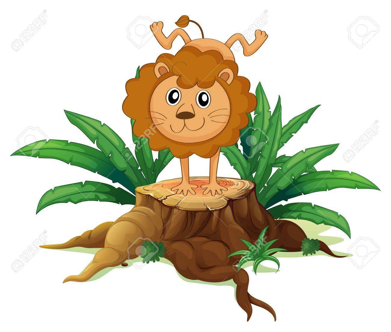 木製の白い背景の上の逆立ちをやって若いライオンのイラストのイラスト素材 ベクタ Image