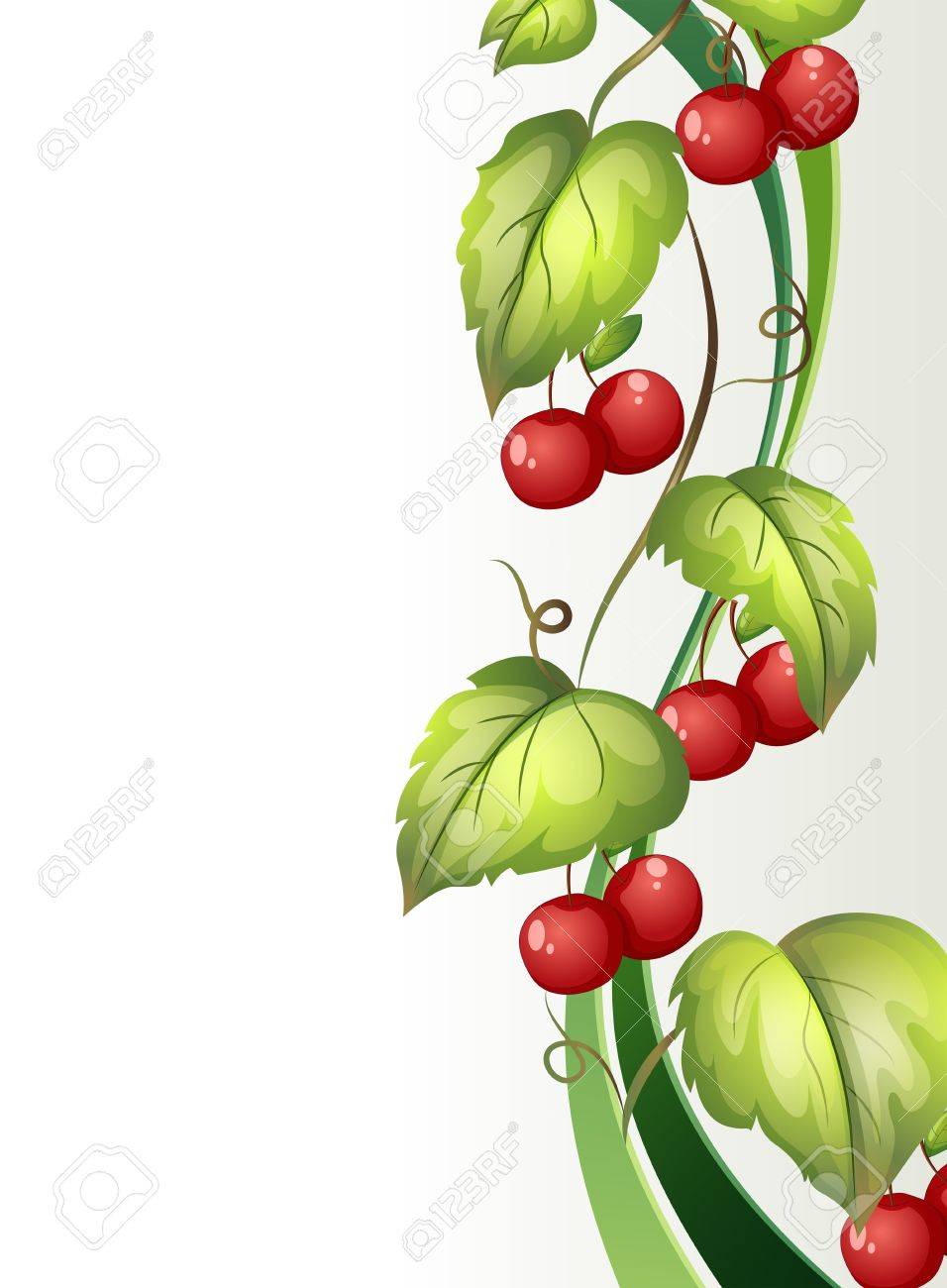 白い背景の上果物とつる植物のイラストのイラスト素材 ベクタ Image 白い背景の上果物とつる植物のイラストのイラスト素材 ベクタ Image