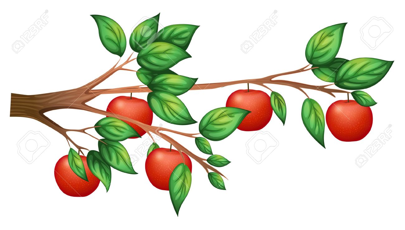 25+ Clipart Apple Tree Background Background