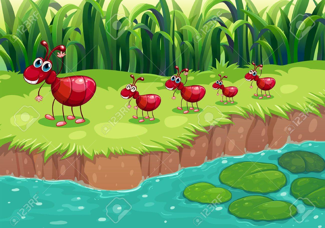 川岸では 赤い蟻のコロニーのイラストのイラスト素材 ベクタ Image 8095