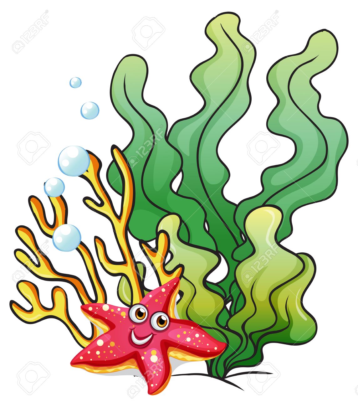 illustration of the coral reefs with a smiling starfish on a