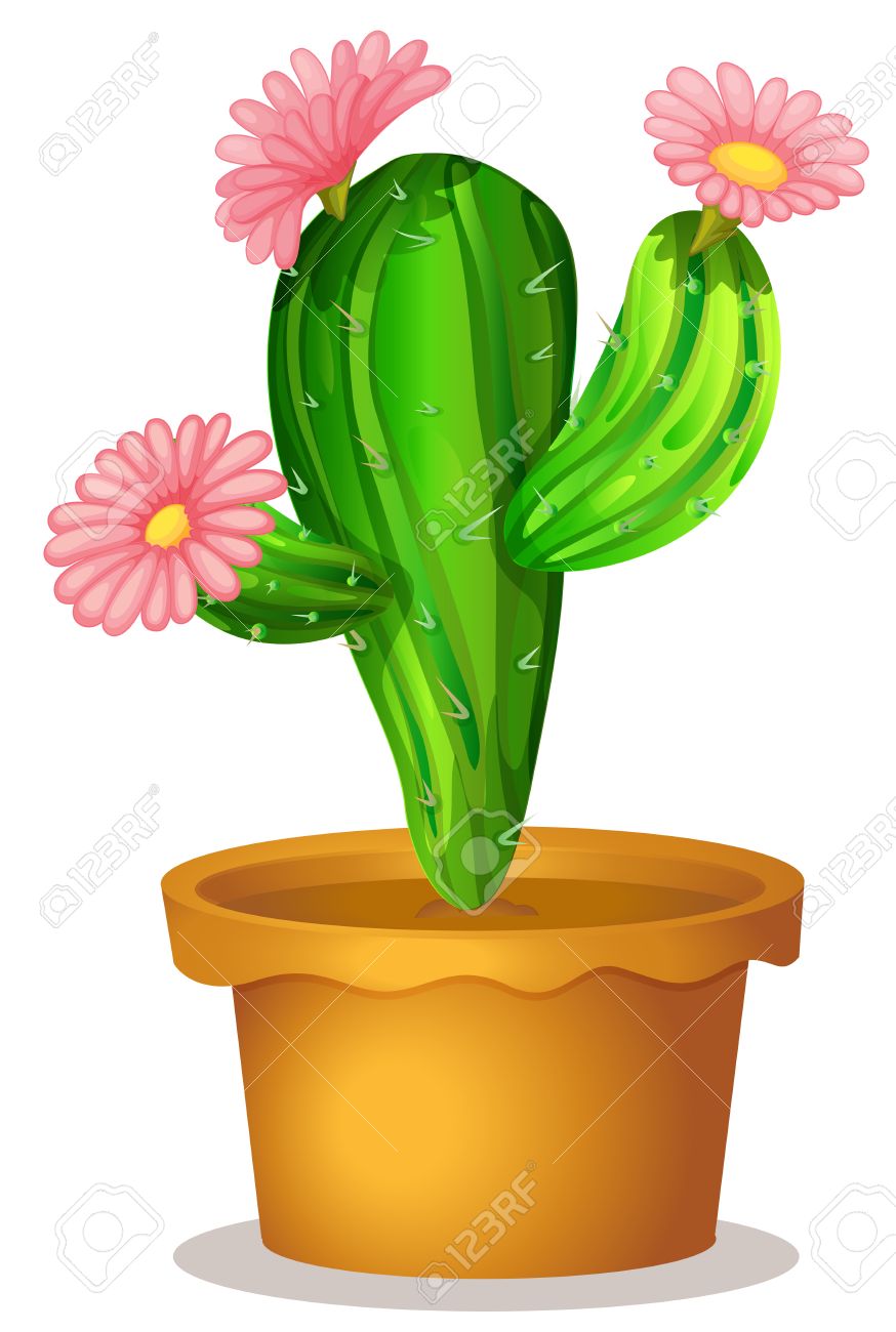 Ilustración De Una Planta De Cactus Con Flores De Color Rosa Sobre Fondo Blanco Ilustraciones Svg, Vectoriales, Clip Art Vectorizado Libre De Derechos. Image 28779430. Ilustración De Una Planta De Cactus Con Flores De Color Rosa Sobre Fondo Blanco Ilustraciones Svg, Vectoriales, Clip Art Vectorizado Libre De Derechos. Image 28779430.