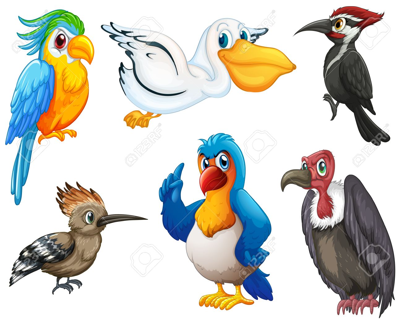 Illustration Of Different Kind Of Birds Royalty Free SVG, Cliparts,  Vectors, and Stock Illustration. Image 31923295., image size:1300x1044