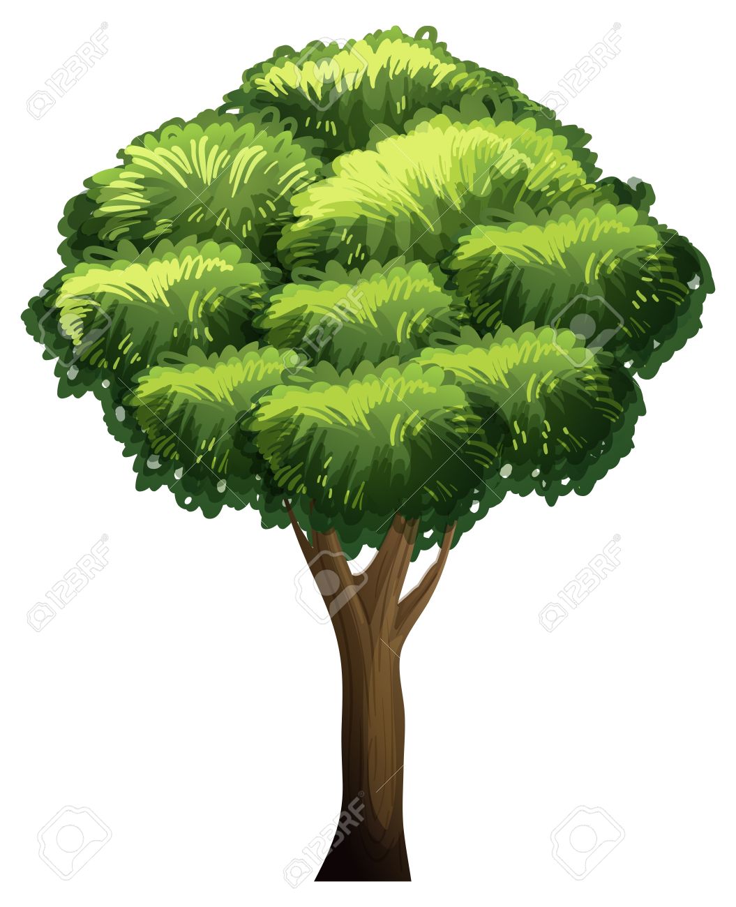 eine animierte baum flashcard für den unterricht lizenzfrei nutzbare animated tree picture