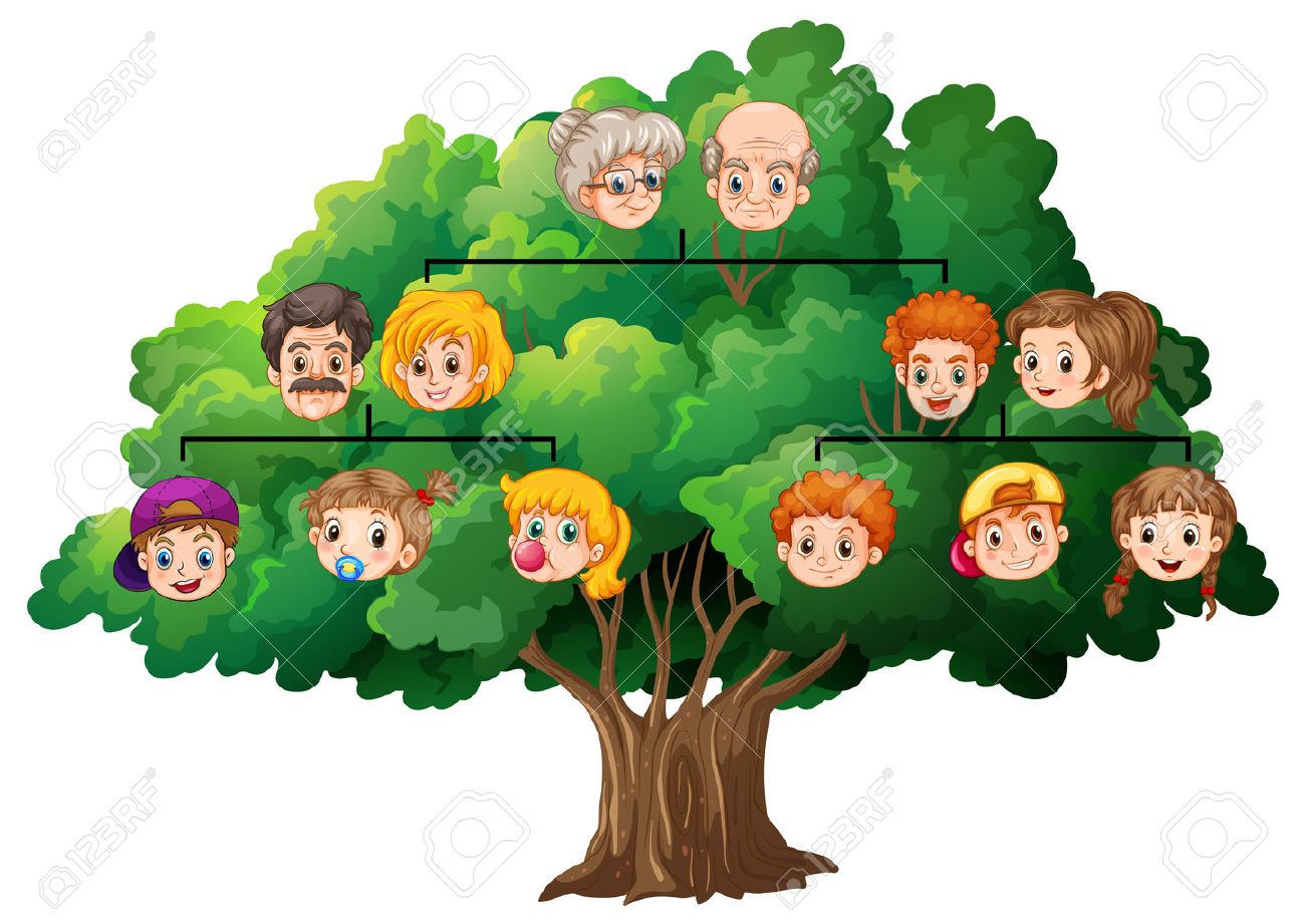 ilustración de un árbol genealógico completado ilustraciones