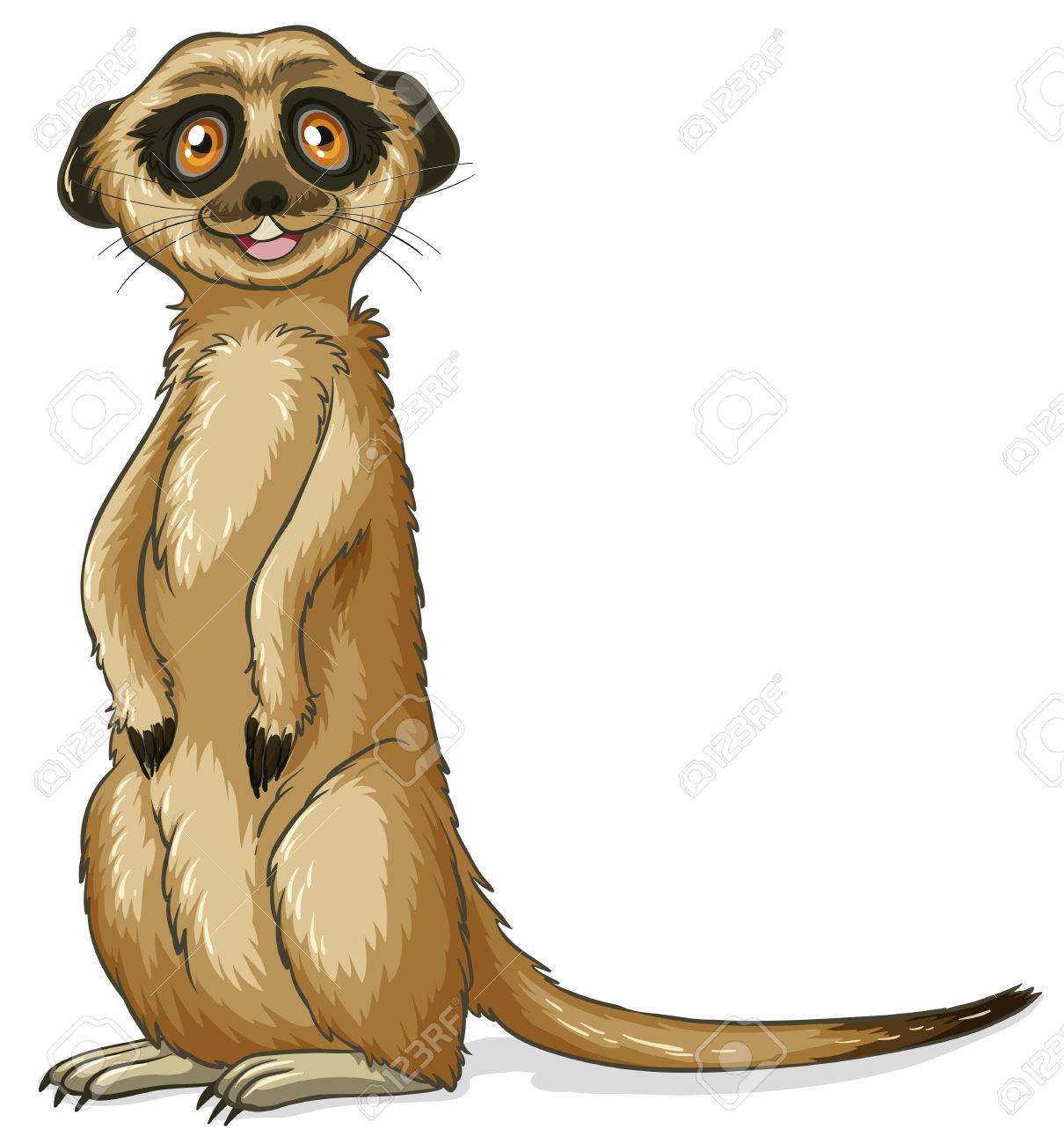 Illustration Of A Close Up Meerkat Royalty Free Cliparts Vectors And Stock Illustration Image