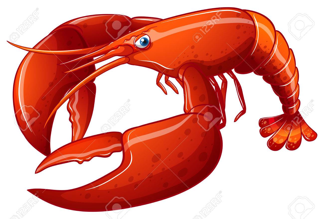 ロブスターを間近のイラストのイラスト素材 ベクタ Image ロブスターを間近のイラストのイラスト素材 ベクタ Image