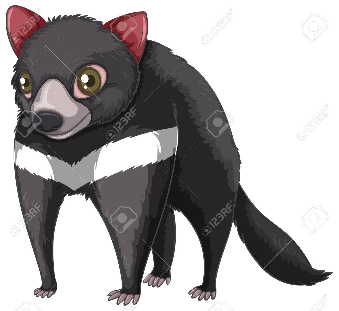 Illustration Of A Close Up Tasmanian Devil Royalty Free Cliparts Vectors And Stock Illustration Image