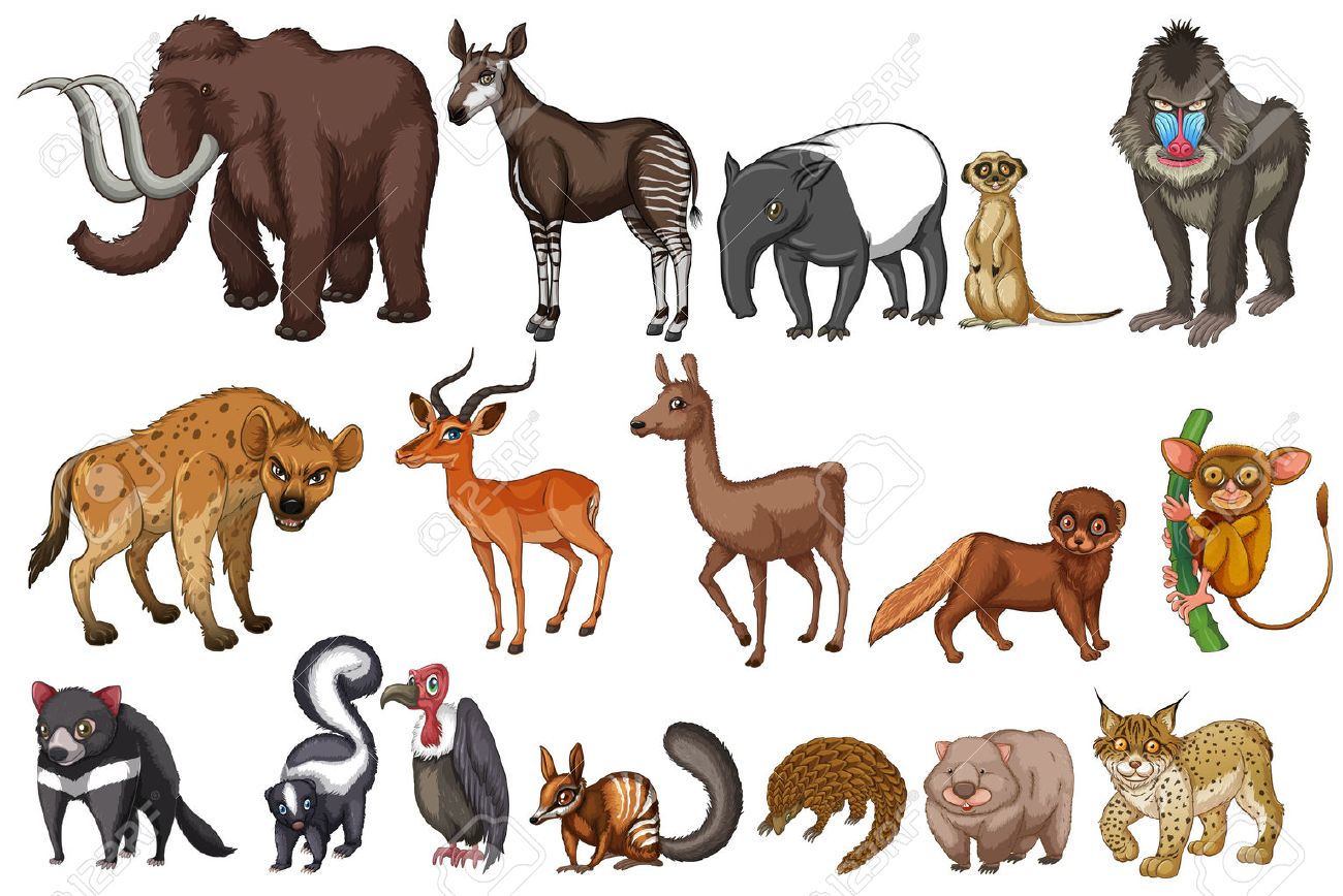 different kinds of rare