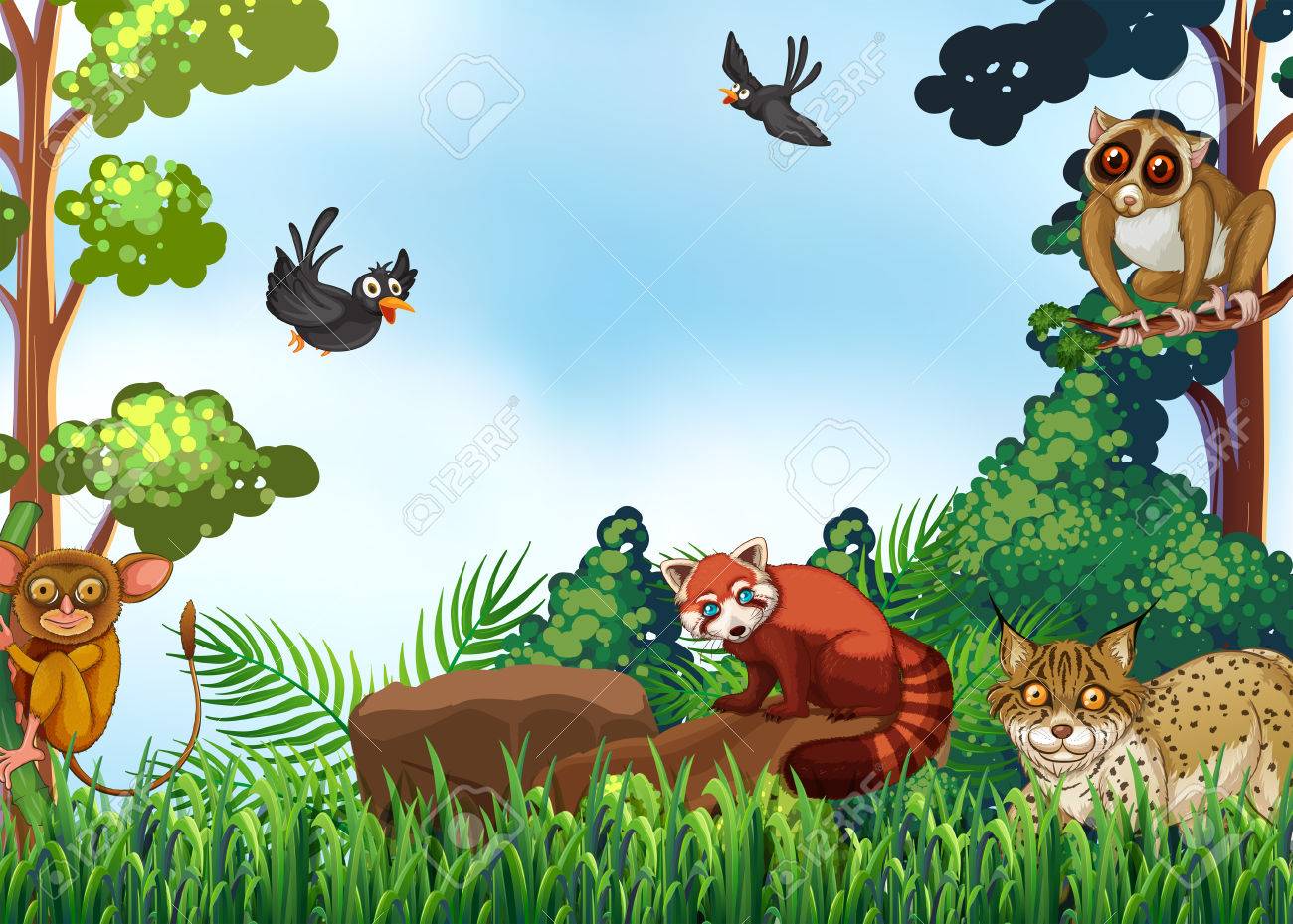 森の動物たち のイラスト素材 ベクタ Image