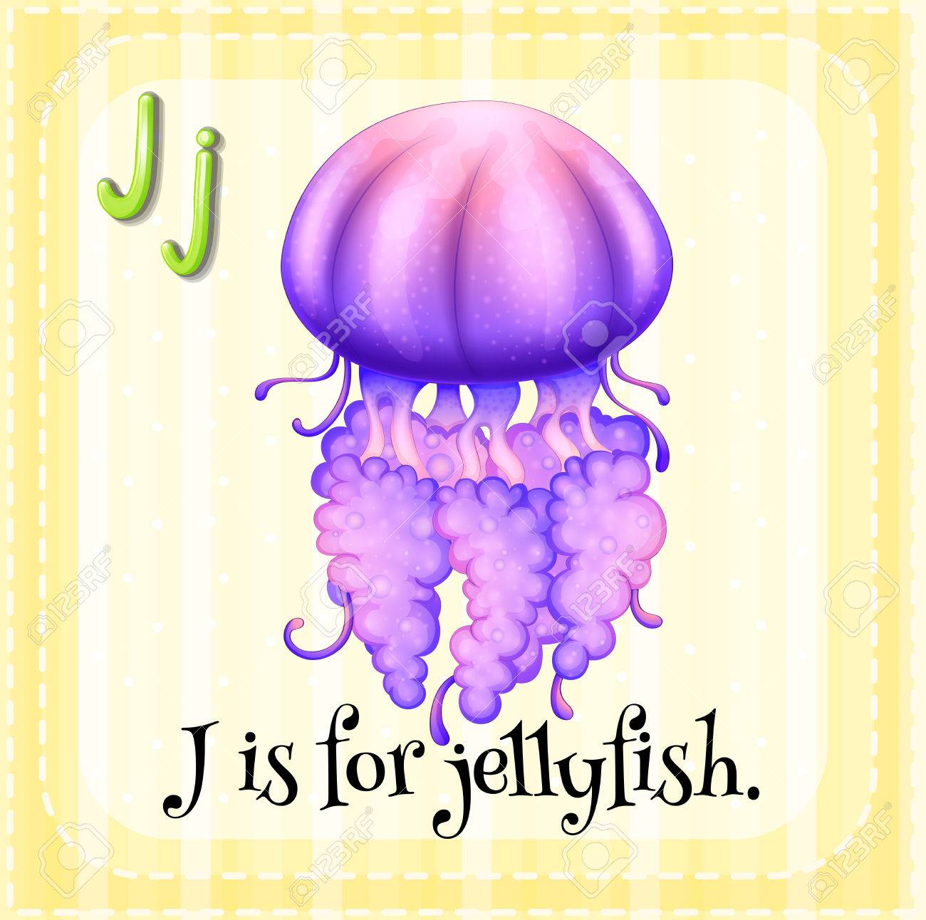 フラッシュ カードの文字 J クラ ゲです のイラスト素材 ベクタ Image