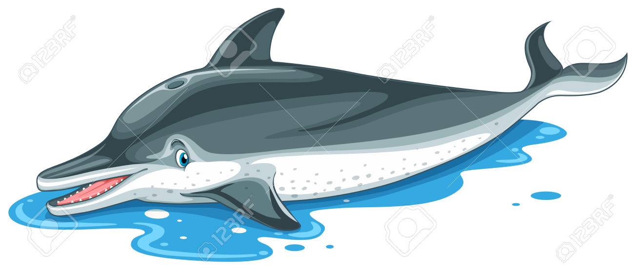 Dolphin With Cute Face On Water Illustration Royalty Free Cliparts Vectors And Stock Illustration Image