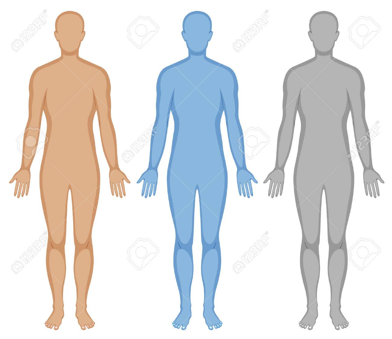 human body outline in three colors illustration royalty free outline human body