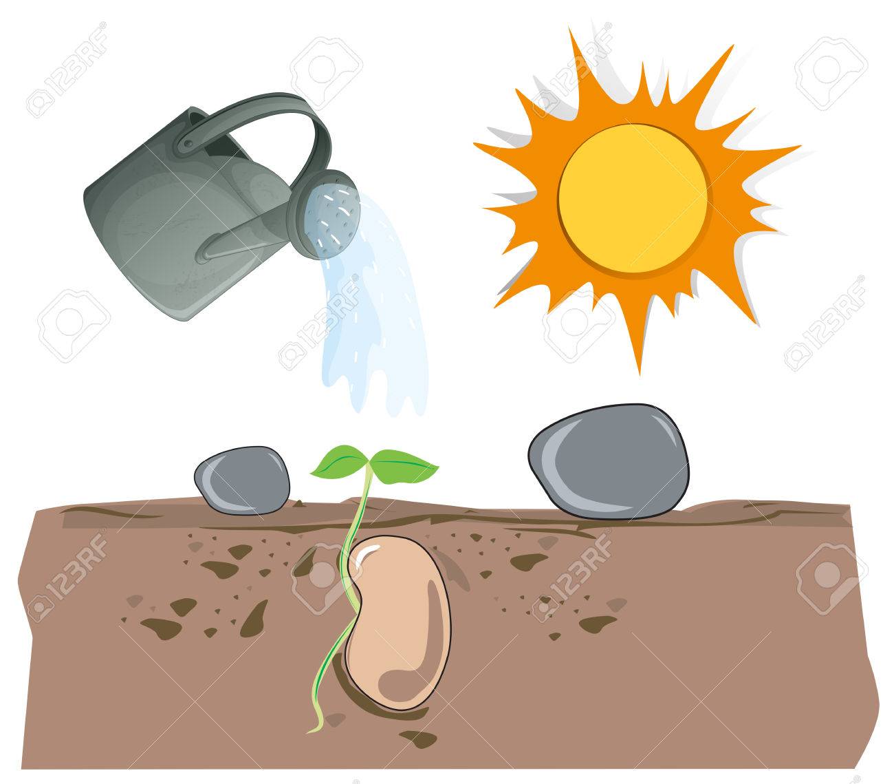 Plant Growing From Underground Illustration Royalty Free Cliparts Vectors And Stock Illustration Image