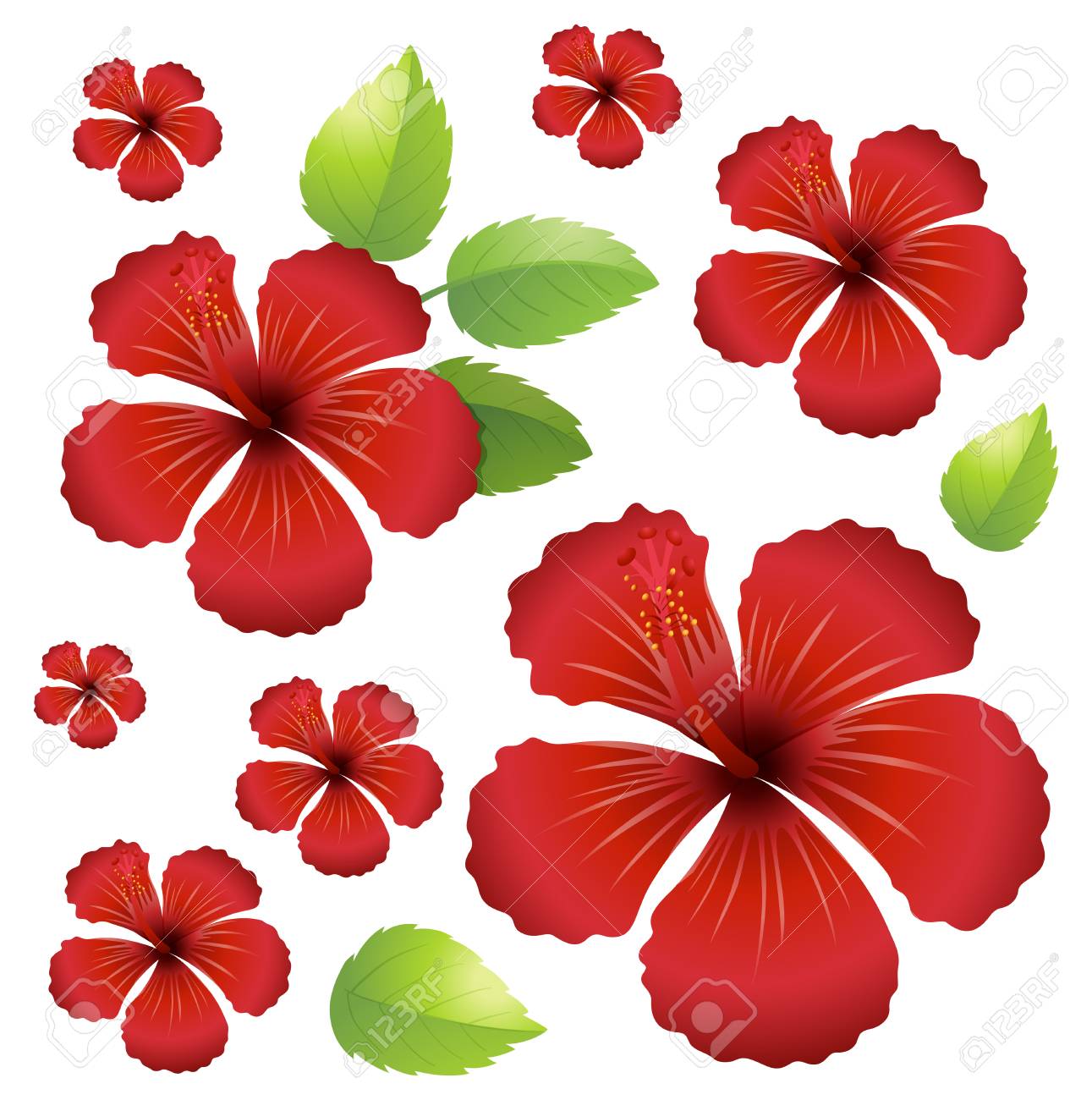 シームレスな背景赤 Hibicus 花イラスト のイラスト素材 ベクタ Image シームレスな背景赤 Hibicus 花イラスト のイラスト素材 ベクタ Image