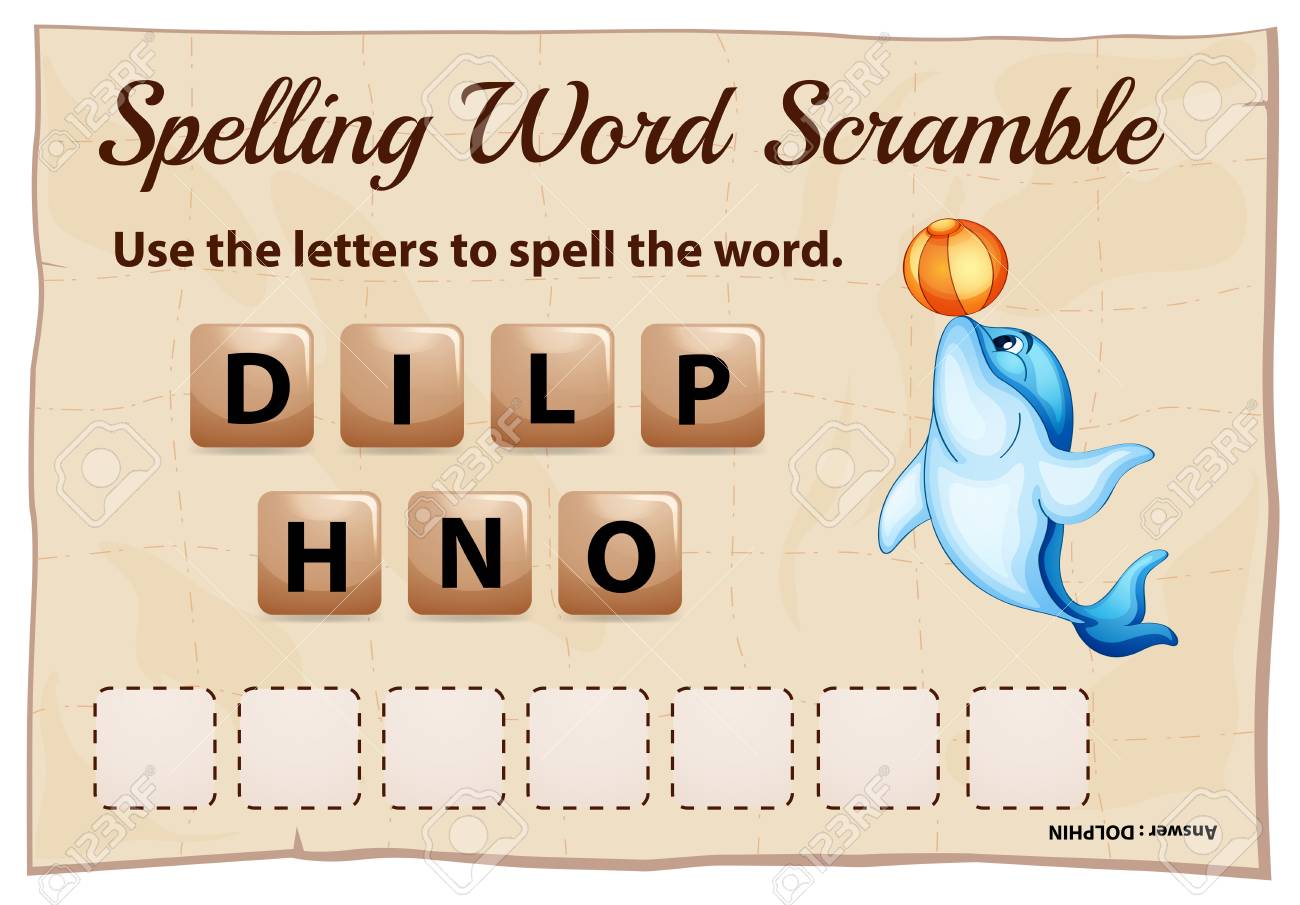 最新 イルカ 英語 スペル