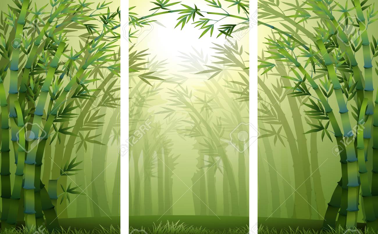 bamboo forest scenes with