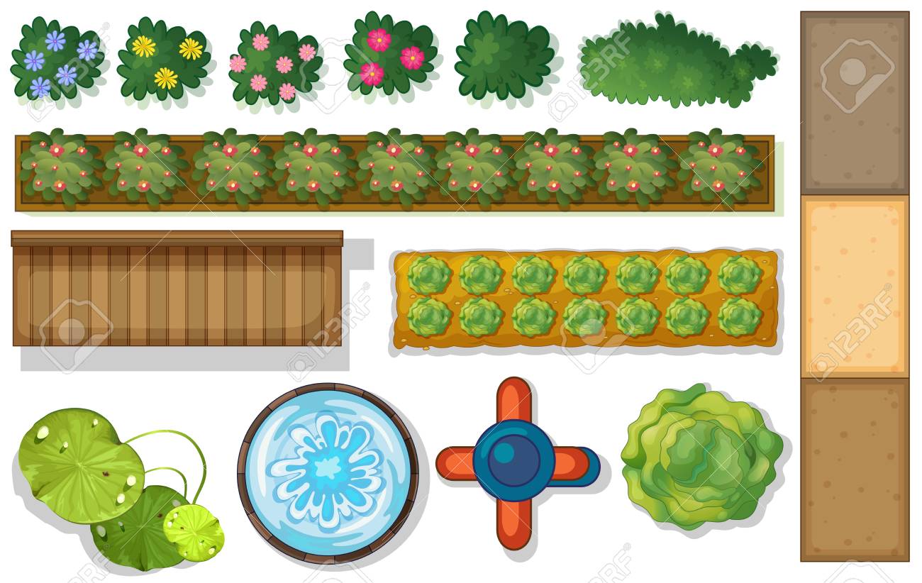 庭のイラストで植物や池のトップビュー のイラスト素材 ベクタ Image